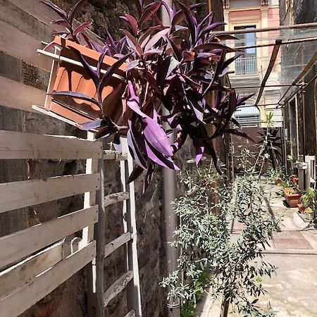 Suite Vicolo Lavico CTA Exterior foto